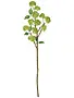 28'' Twig Snowball Spray