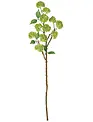 28'' Twig Snowball Spray