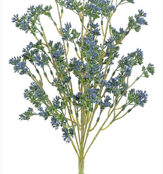 17" Blue Seeds Bush