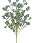 17" Blue Seeds Bush