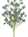 17" Blue Seeds Bush