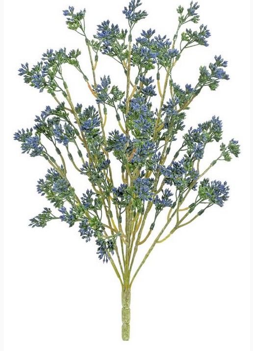 17" Blue Seeds Bush