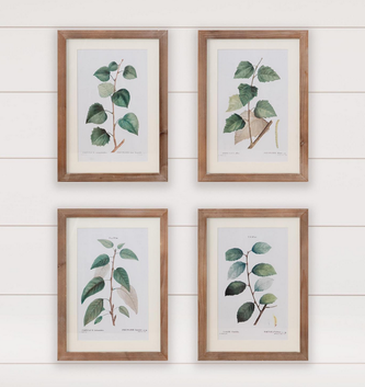 Botanical Green Leaves Framed Print (4-Styles)