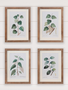 Botanical Green Leaves Framed Print (4-Styles)