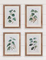 Botanical Green Leaves Framed Print