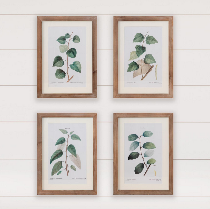 Botanical Green Leaves Framed Print