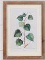 Botanical Green Leaves Framed Print