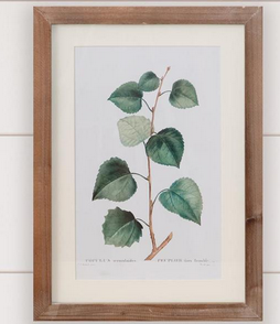 Botanical Green Leaves Framed Print