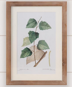 Botanical Green Leaves Framed Print