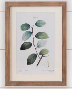 Botanical Green Leaves Framed Print