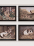 Antique Rabbits Framed Print (4-Styles)