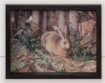 Antique Rabbits Framed Print