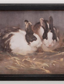 Antique Rabbits Framed Print
