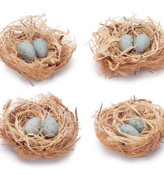 Mini Nest w/ Blue Eggs