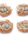 Mini Nest w/ Blue Eggs