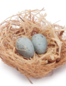 Mini Nest w/ Blue Eggs