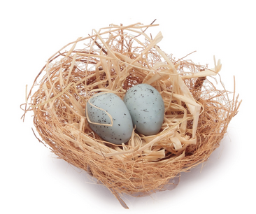 Mini Nest w/ Blue Eggs