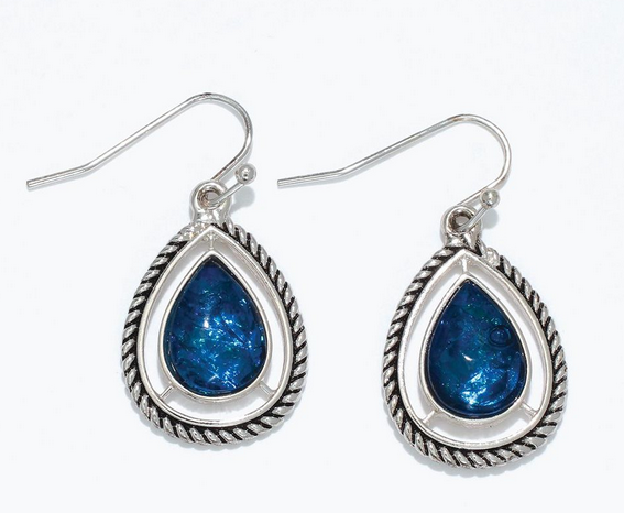 Silver Rope With Blue Inlay Earrings