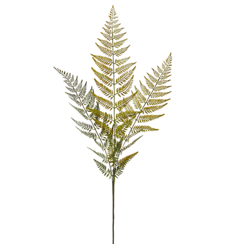 43" Woods Fern Spray