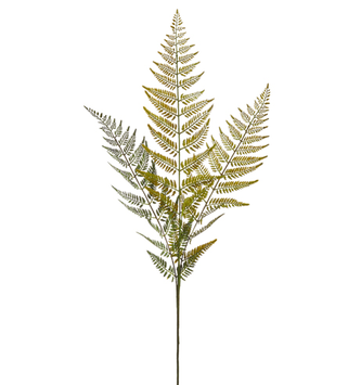 43" Woods Fern Spray
