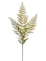 43" Woods Fern Spray