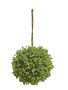 4.5" Sage Greenery Orb
