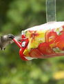 Happy Hummers Hummingbird Feeder EZ Nectar