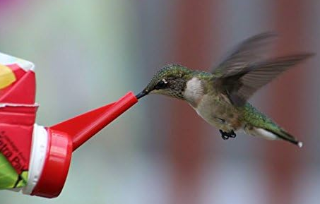 Happy Hummers Hummingbird Feeder EZ Nectar
