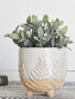 Fern Patterned Planter