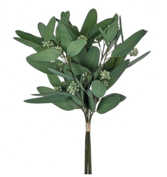 Mixed Eucalyptus Stem