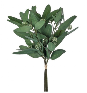 Mixed Eucalyptus Stem