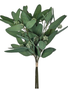 Mixed Eucalyptus Stem
