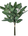 Mixed Eucalyptus Stem
