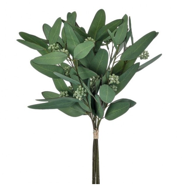 Mixed Eucalyptus Stem