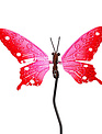 Whimsical Metal Butterfly Stake (6-Styles)