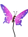 Whimsical Metal Butterfly Stake (6-Styles)