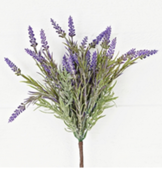 French Lavender Bush