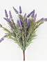 French Lavender Bush