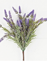 French Lavender Bush