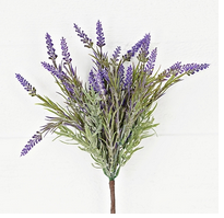 French Lavender Bush