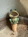 Terracotta Frog Plant Nanny (2-Styles)