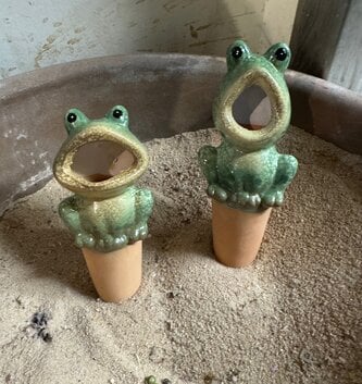Terracotta Frog Plant Nanny (2-Styles)