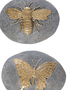 Gold Insect Garden Stone (2-Styles)