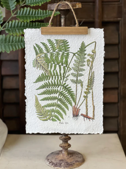Fieldguide Decoupage Fern Hanging Print