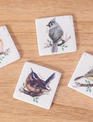 Set of 4 Birds on Branch Coaster