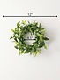 Ruscus Twig Candle Ring