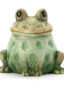 Happy Standing Frog