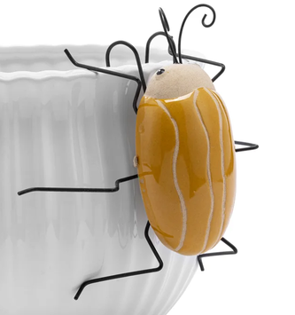 Beetle Plant Hanger (2-Colors)