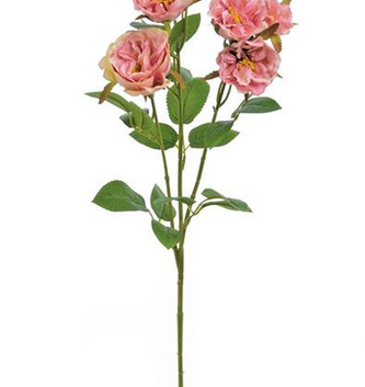 30" Cabbage Rose Spray