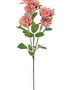 30" Cabbage Rose Spray
